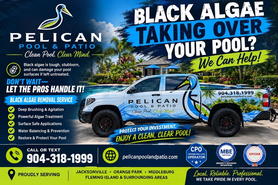 Pelican Pool and Patio black algae removal service advertisement