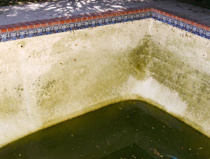 Example photo of dark algae spots rooted into pool walls and surfaces