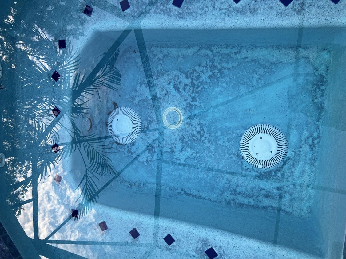 Pool floor with black algae before treatment