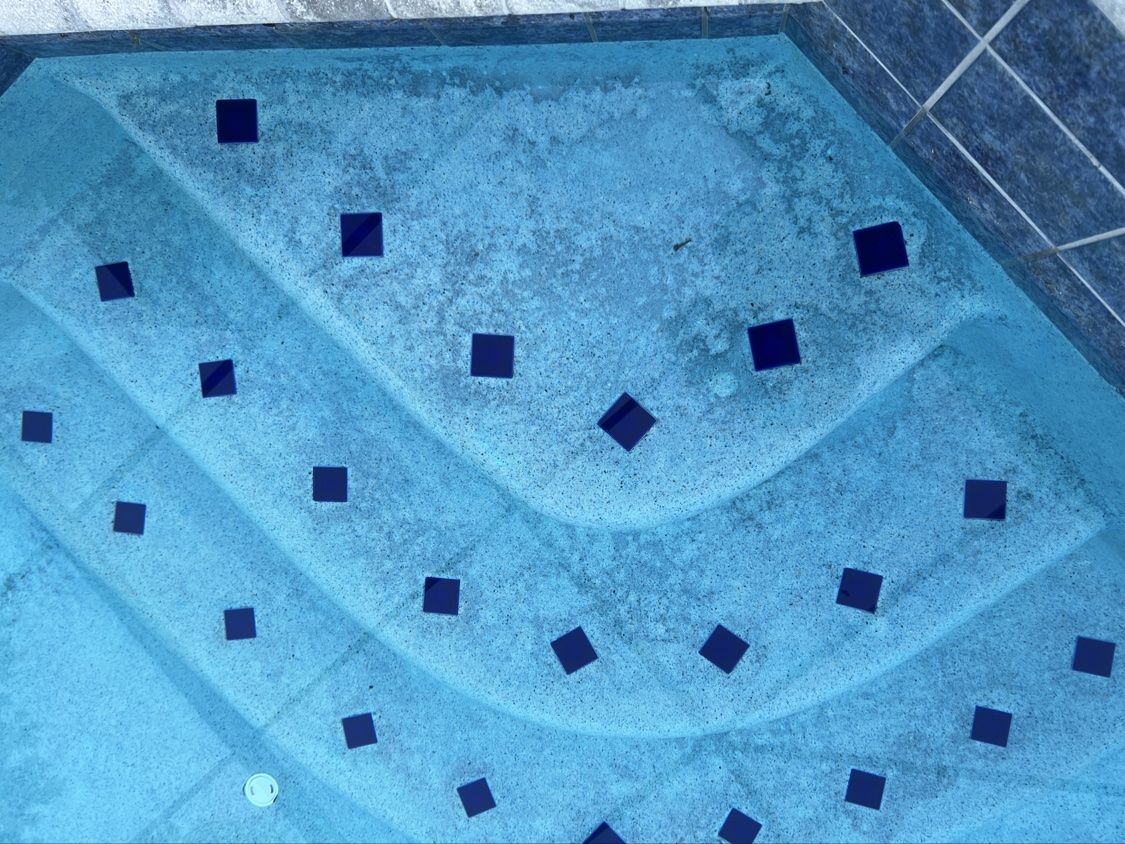Pool steps with black algae spots before treatment