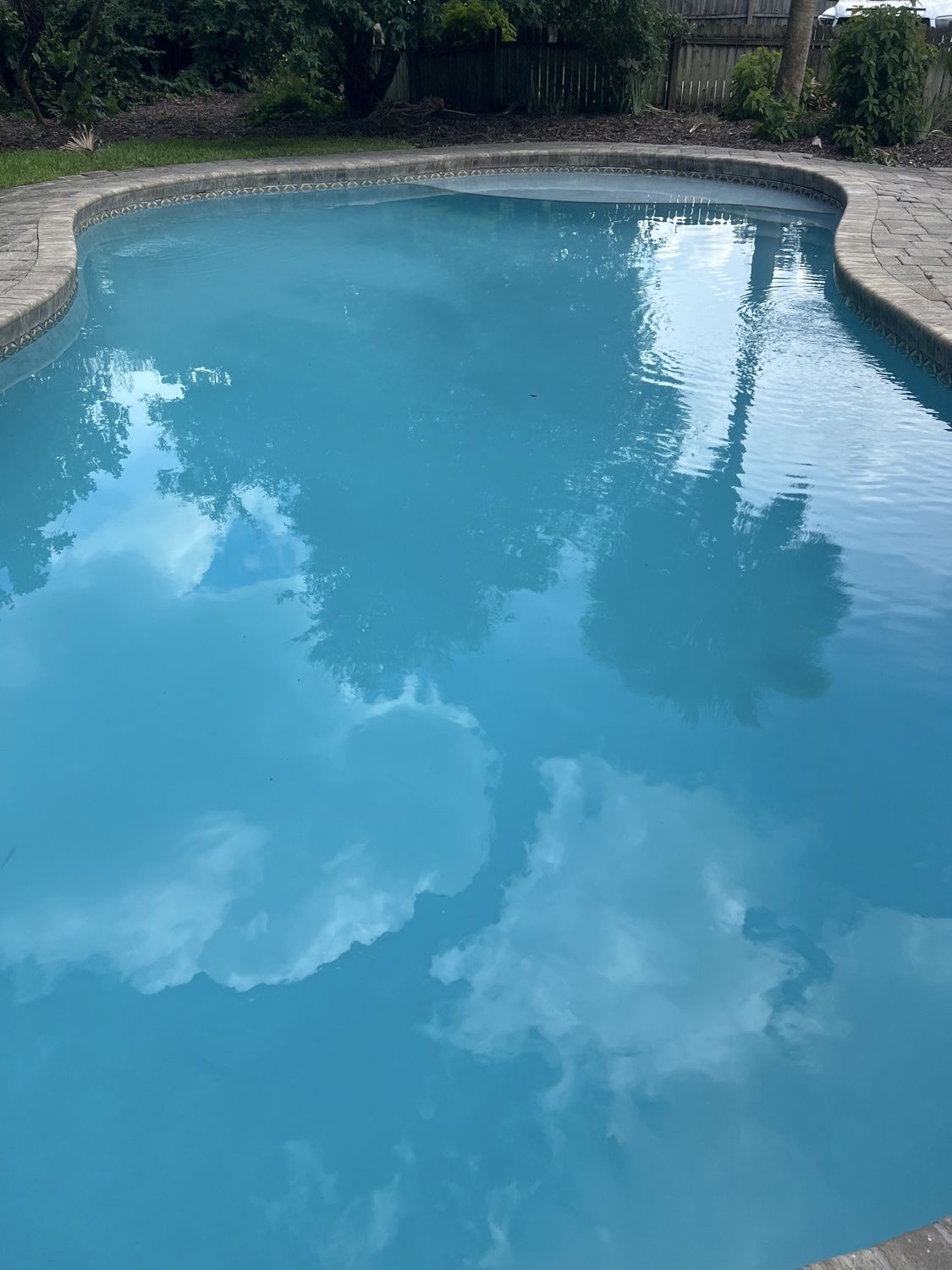 Kidney-shaped pool with clear blue water and a bright sky reflection after treatment