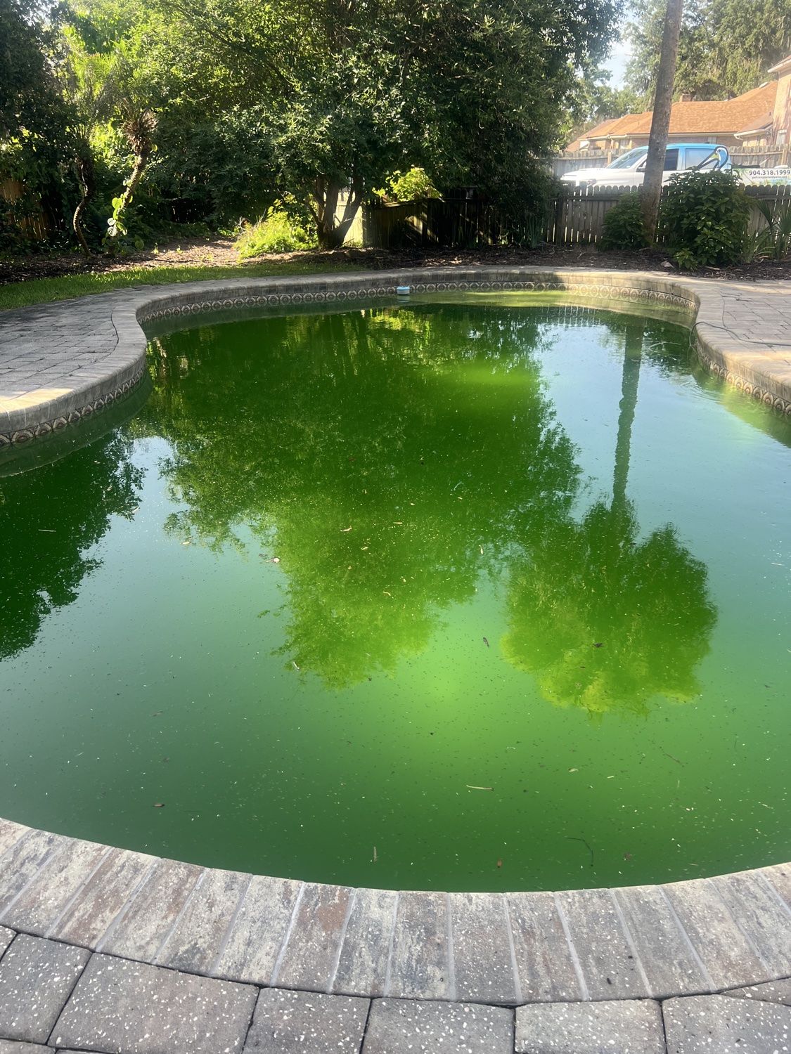 Green kidney-shaped pool before treatment with the Pelican service truck visible nearby